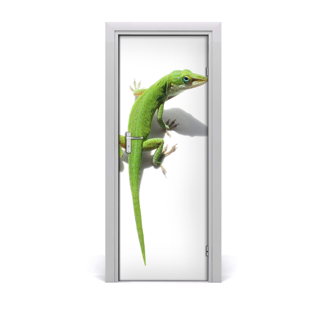 Tapeta na dveře s 3d efektem Zeleni gušter