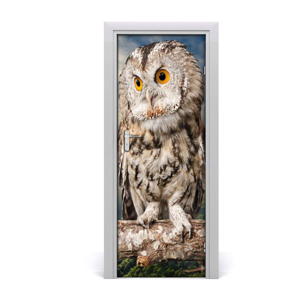 Tapeta na dveře Sova na drvetu