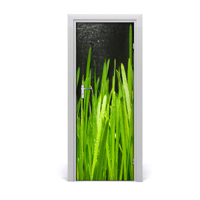 Obrazová tapeta na dveře Trava