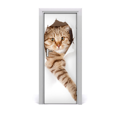 Samolepící tapeta na dveře Mačka
