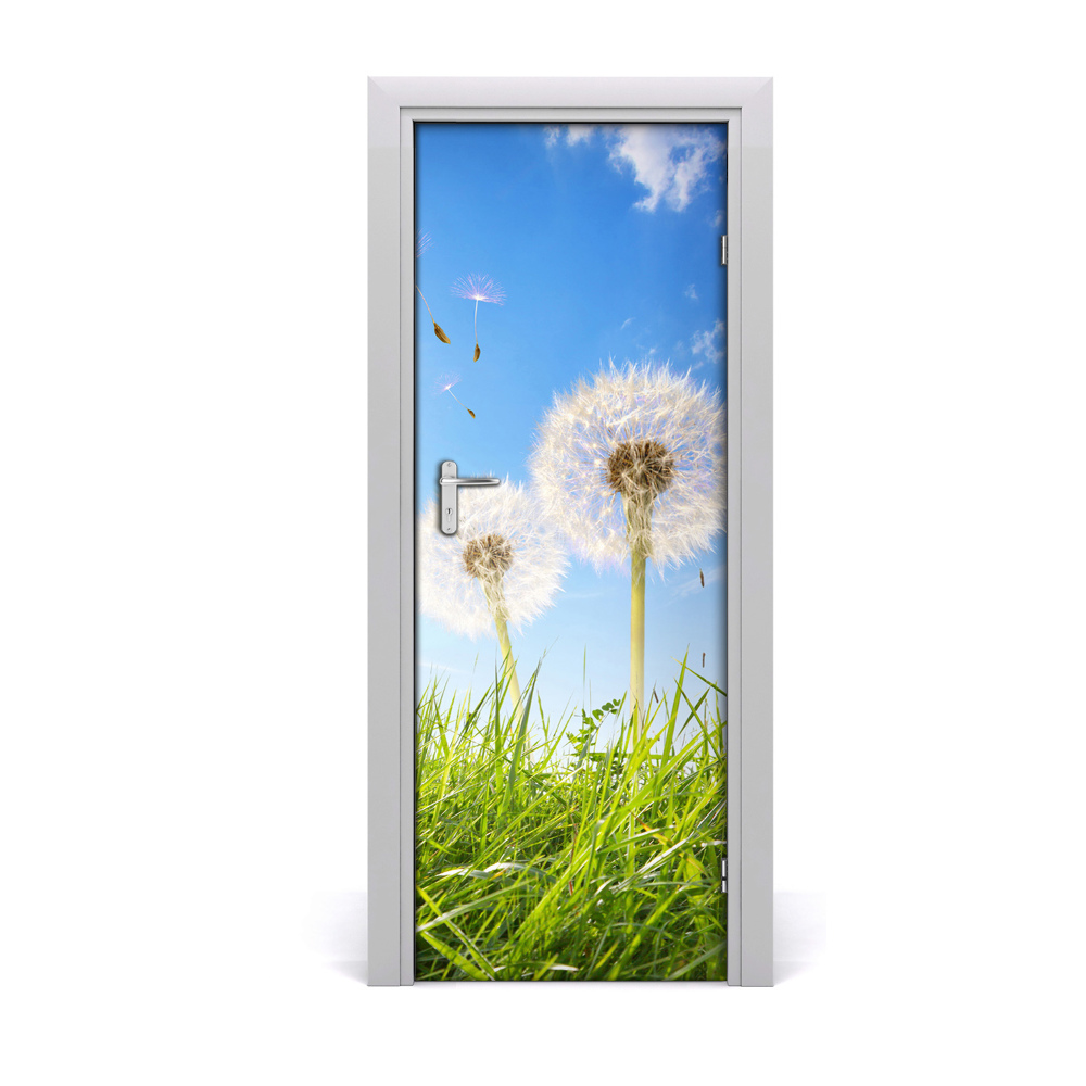 Tapeta na dveře Maslačci na livadi