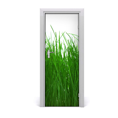 Fototapeta na dveře Trava