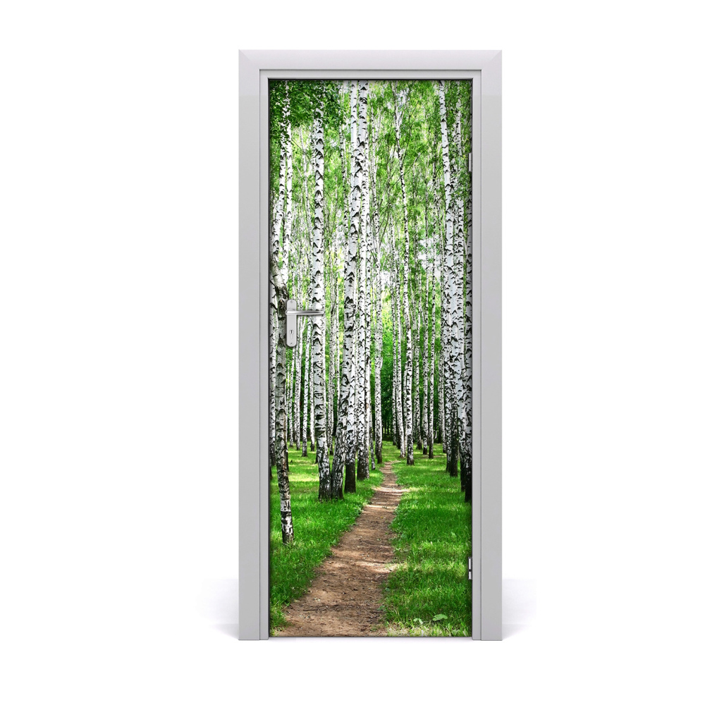 Samolepící fólie na dveře Put brezove šume