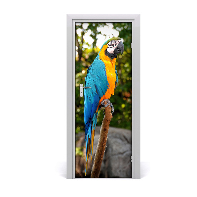 Samolepící fototapeta na dveře Ara papiga