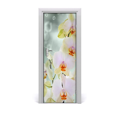 Obrazová tapeta na dveře Cvijet orhideje