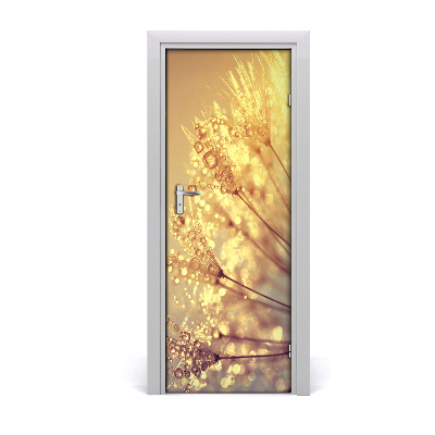 Samolepící fólie na dveře Sjemenke maslačka