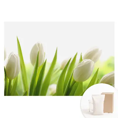 Fototapeta na netkané textilii Jemné bílé tulipány
