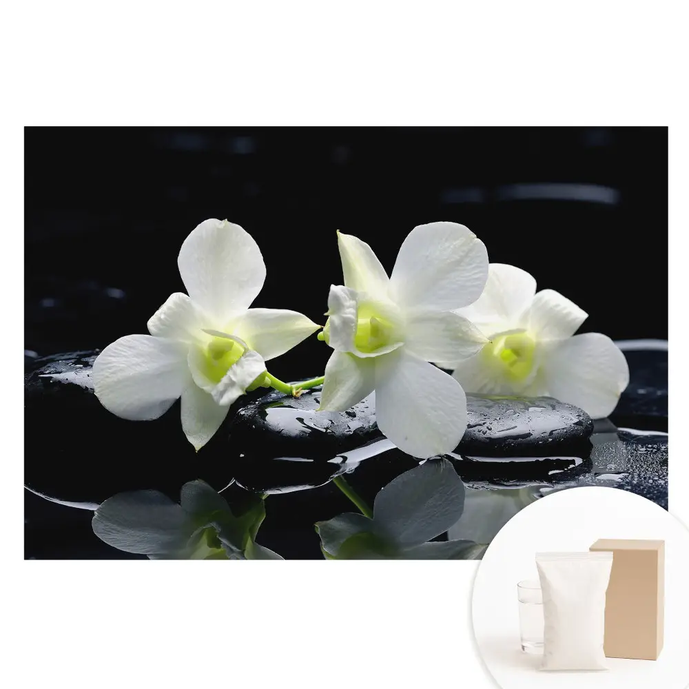 Fototapeta na vliesu Bílé orchideje na kamenech