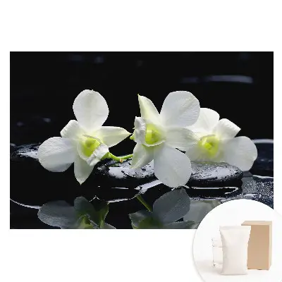 Fototapeta na vliesu Bílé orchideje na kamenech