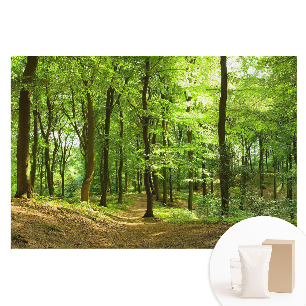 Fototapeta na netkané textilii Čerstvý zelený les