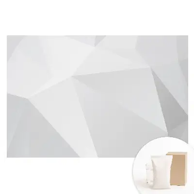 Fototapeta na vliesu Šedé geometrické tvary elegance a modernosti