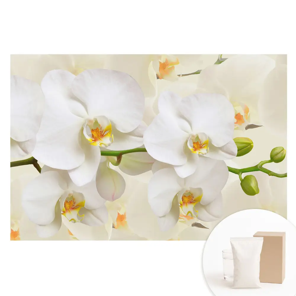 Netkaná tapeta Bílé orchideje