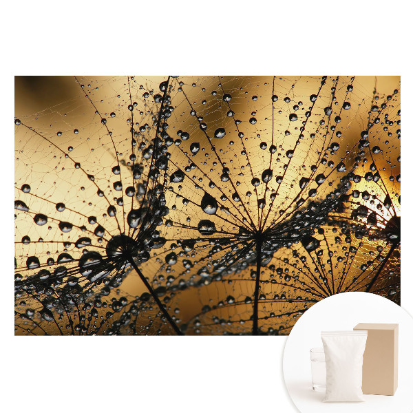 Velká fototapeta na zeď Elegantní kapky na síti ve světle