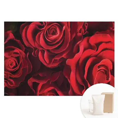 Netkaná fototapeta Harmonicky elegantní červené růže