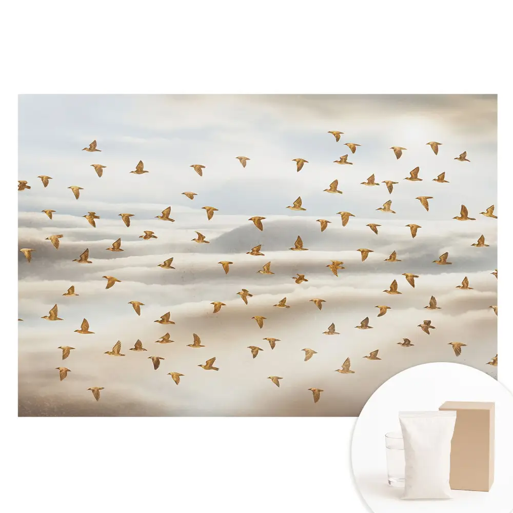 Fototapeta na vliesu Ptáci létající v oblacích