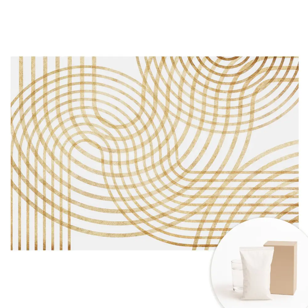 Velká fototapeta na zeď s elegantním dynamickým geometrickým vzorem copu