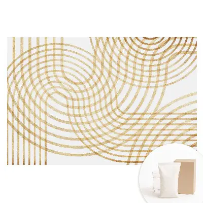 Velká fototapeta na zeď s elegantním dynamickým geometrickým vzorem copu