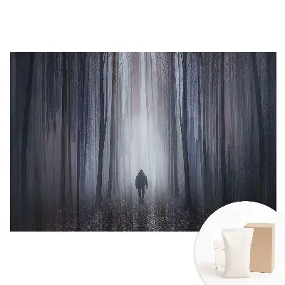 Fototapeta na vliesu Osamělá postava v tajemném lese