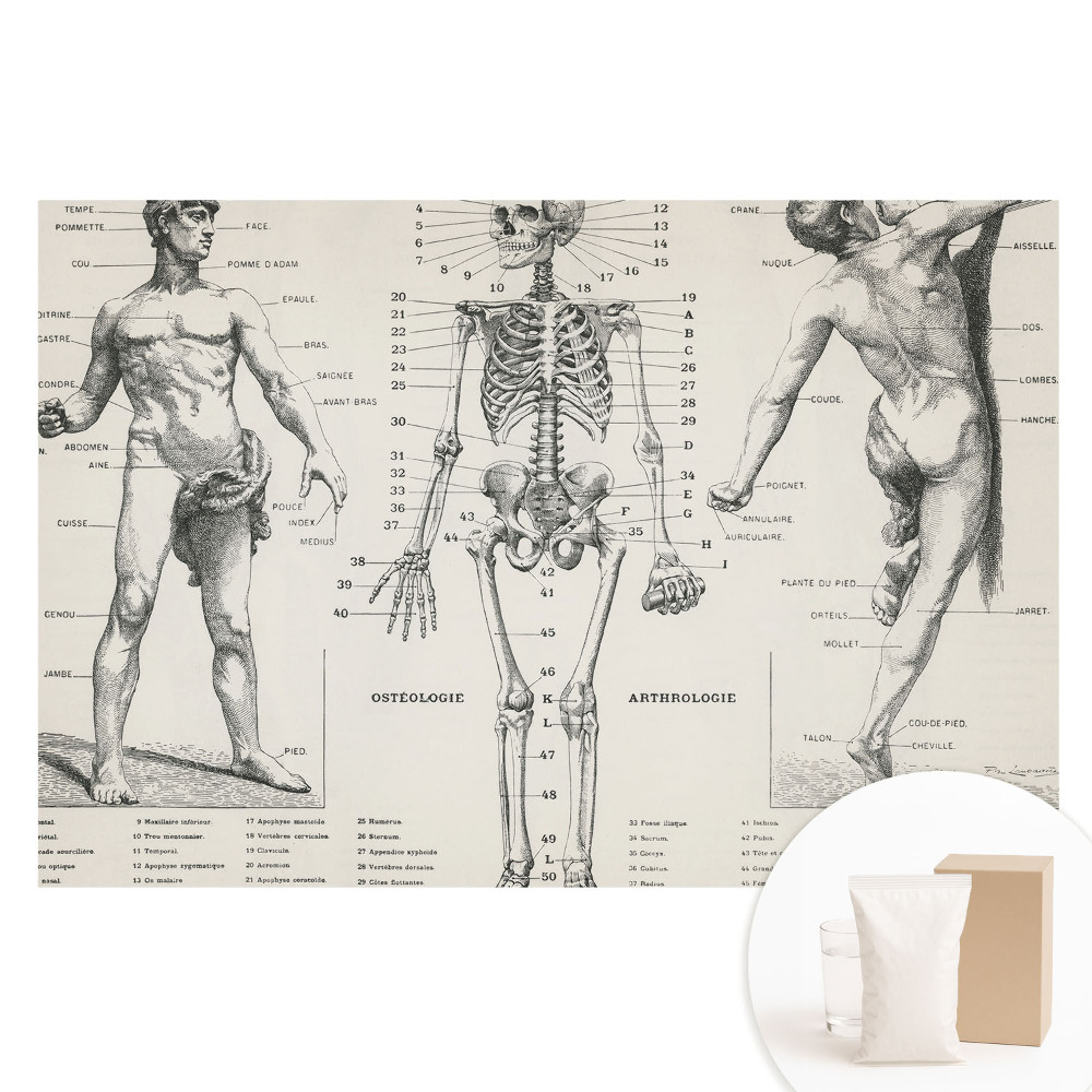 Netkaná tapeta Anatomické ilustrace v retro stylu