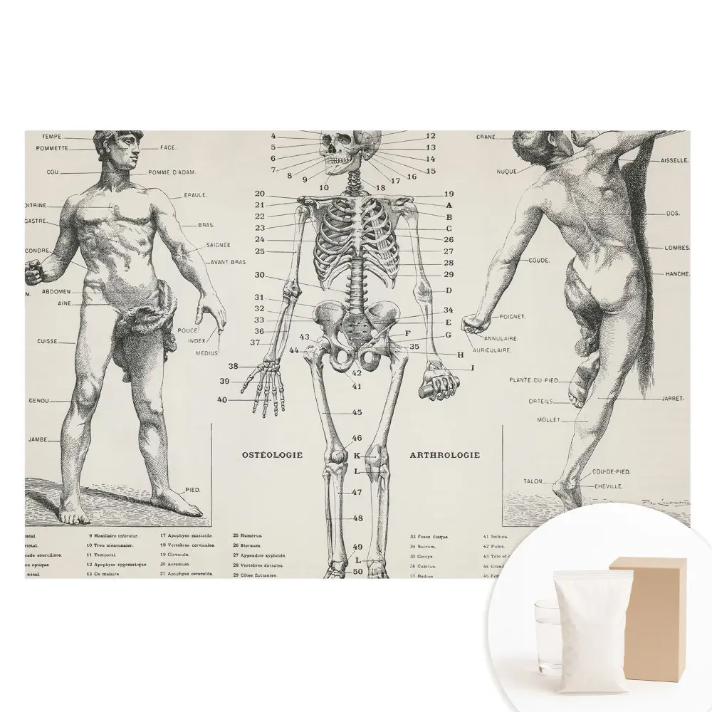 Netkaná tapeta s anatomickými ilustracemi v retro stylu