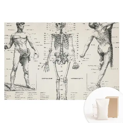 Netkaná tapeta s anatomickými ilustracemi v retro stylu