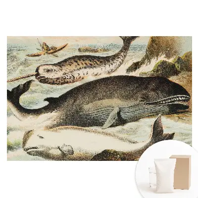 Fototapeta na netkané textilii s ilustrací kytovců a narvala