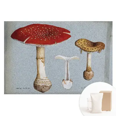 Netkaná tapeta s ilustrací hub v klasickém stylu