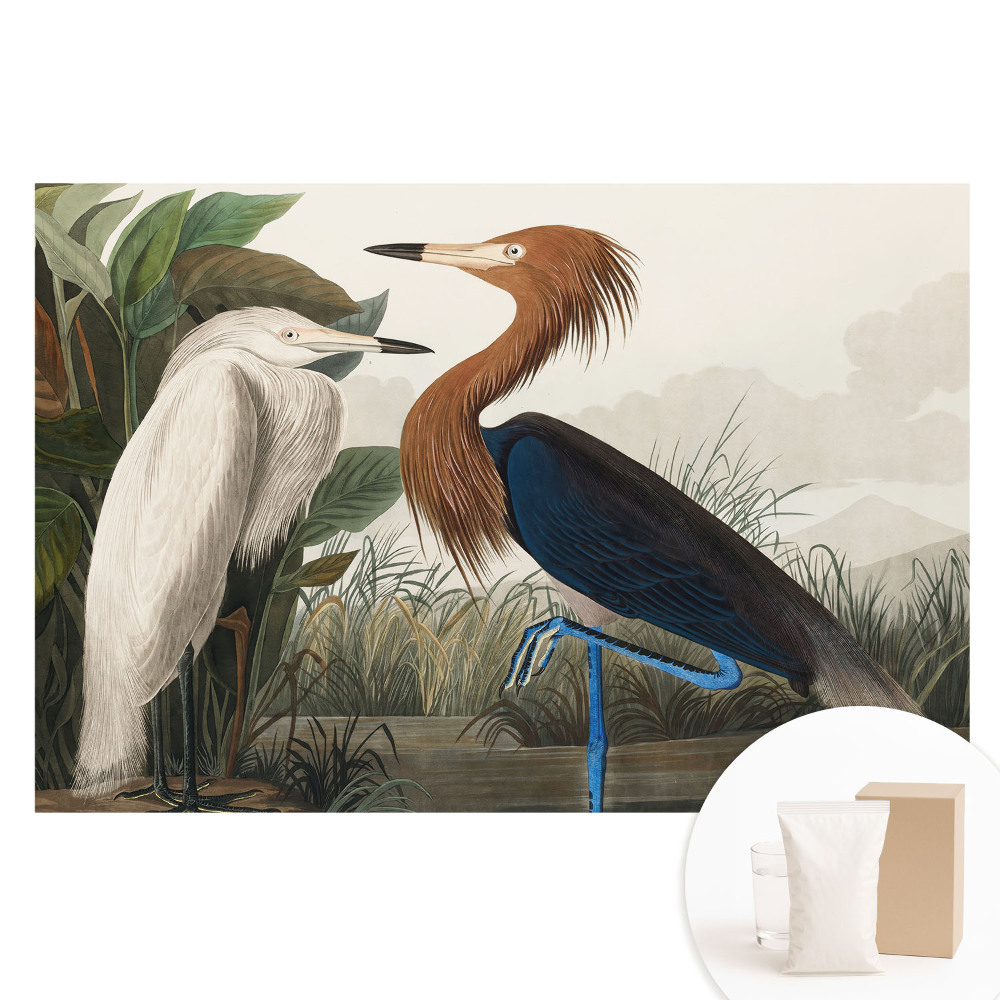 Netkaná tapeta Elegantní ptáci v vegetaci