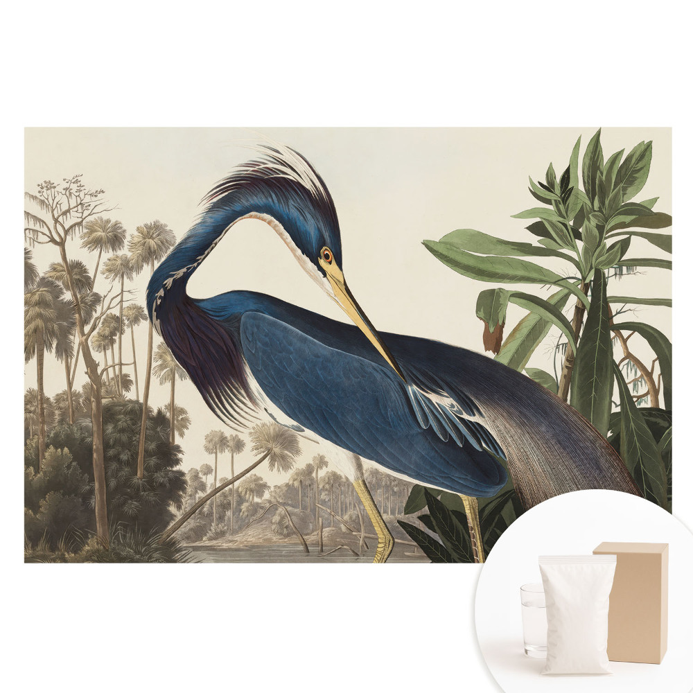 Netkaná fotografická tapeta Exotický pták na pozadí vegetace