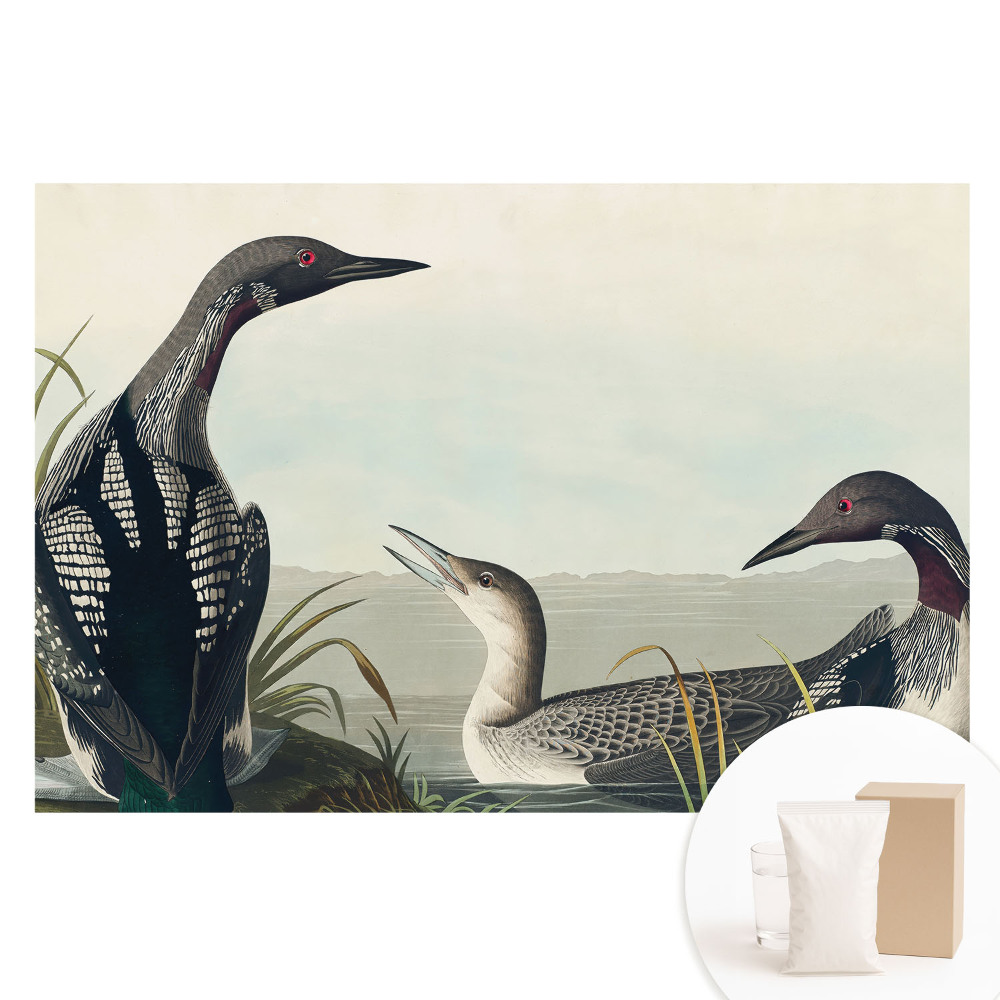 Fototapeta s potiskem na netkané textilii Tři ptáci v klasickém stylu.