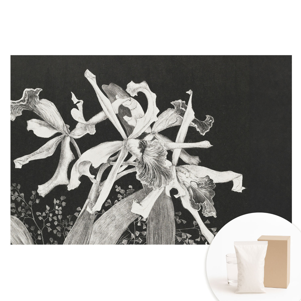 Fotografická tapeta na netkané textilii Elegantní květiny na tmavém pozadí