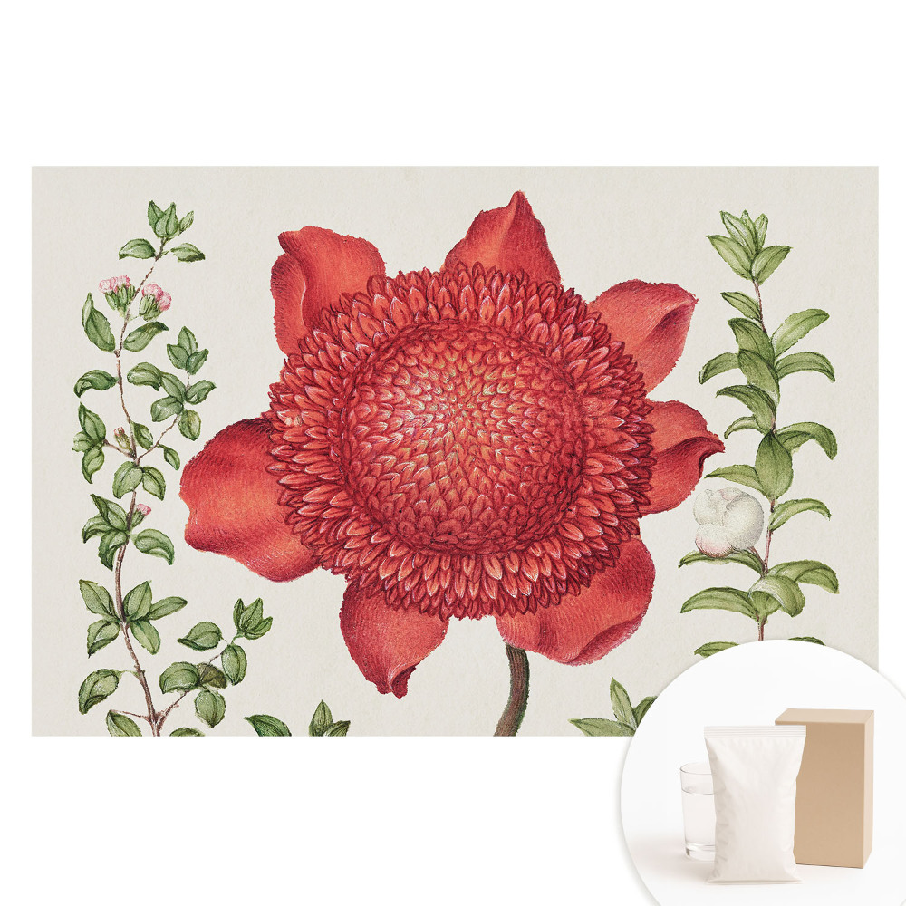 Fototapeta s potiskem na netkané textilii Klasické květinové aranžmá z přírody