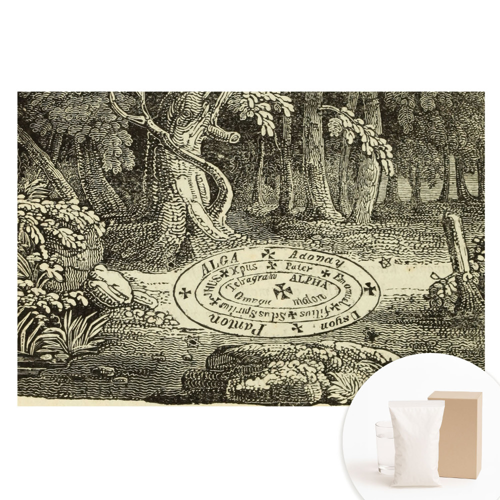 Fototapeta na netkané textilii Klasická ilustrace mystického lesa