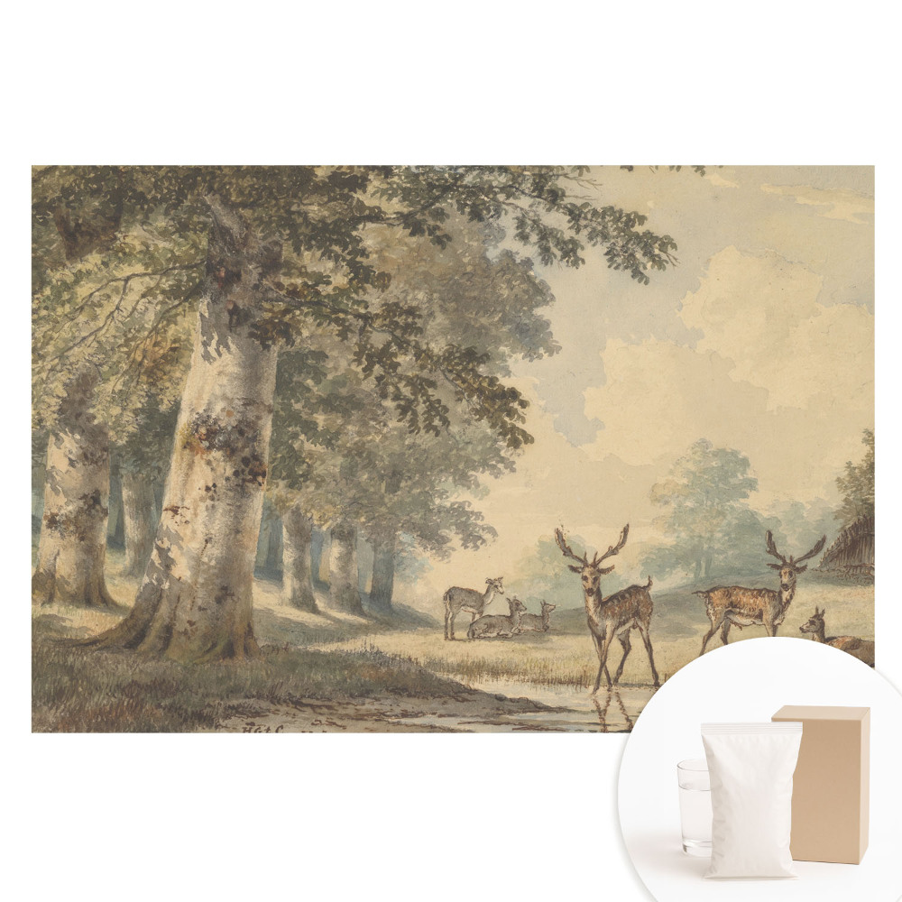 Fototapeta s potiskem na netkané textilii Lesní jelen u potoka