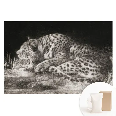 Fototapeta na vliesu Leopard odpočívající v trávě