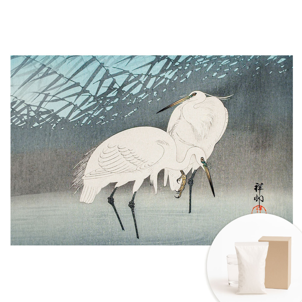 Fototapeta s potiskem na netkané textilii Tradiční ptáci elegance detail voda mír