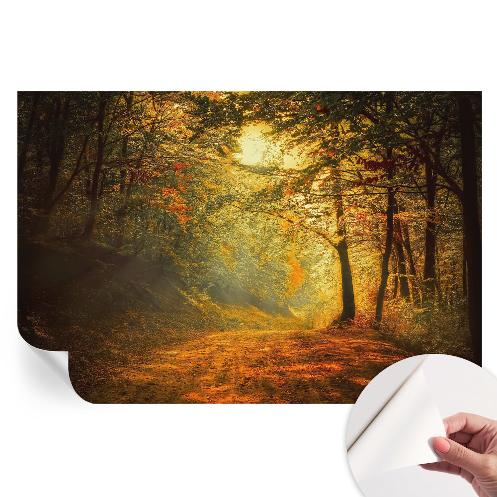 Samolepicí fotografická tapeta Podzimní krajina