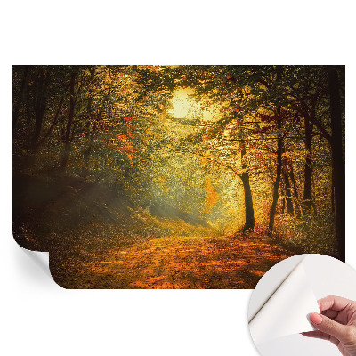 Samolepicí fotografická tapeta Podzimní krajina
