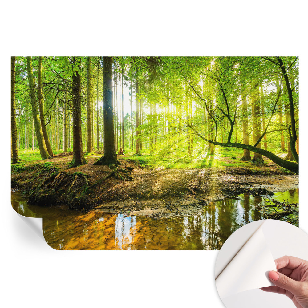Samolepicí tapeta do obývacího pokoje Zelená krajina