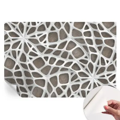 Samolepicí fototapeta Geometrická síť