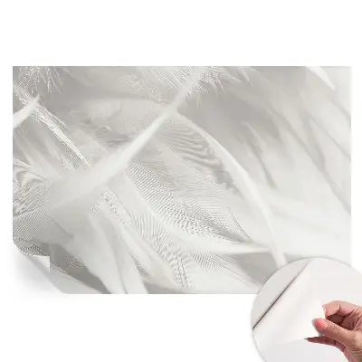 Moderní fototapeta na zeď Jemné peří do obývacího pokoje