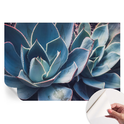 Samolepicí tapeta do obývacího pokoje Zelená aloe