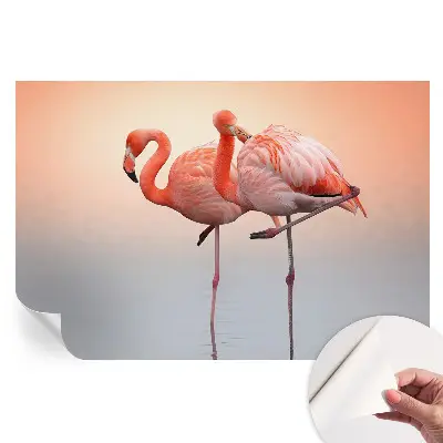 Moderní fototapeta do obývacího pokoje Křehcí plameňáci