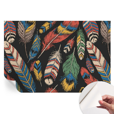Samolepicí tapeta do obývacího pokoje Barevné peří