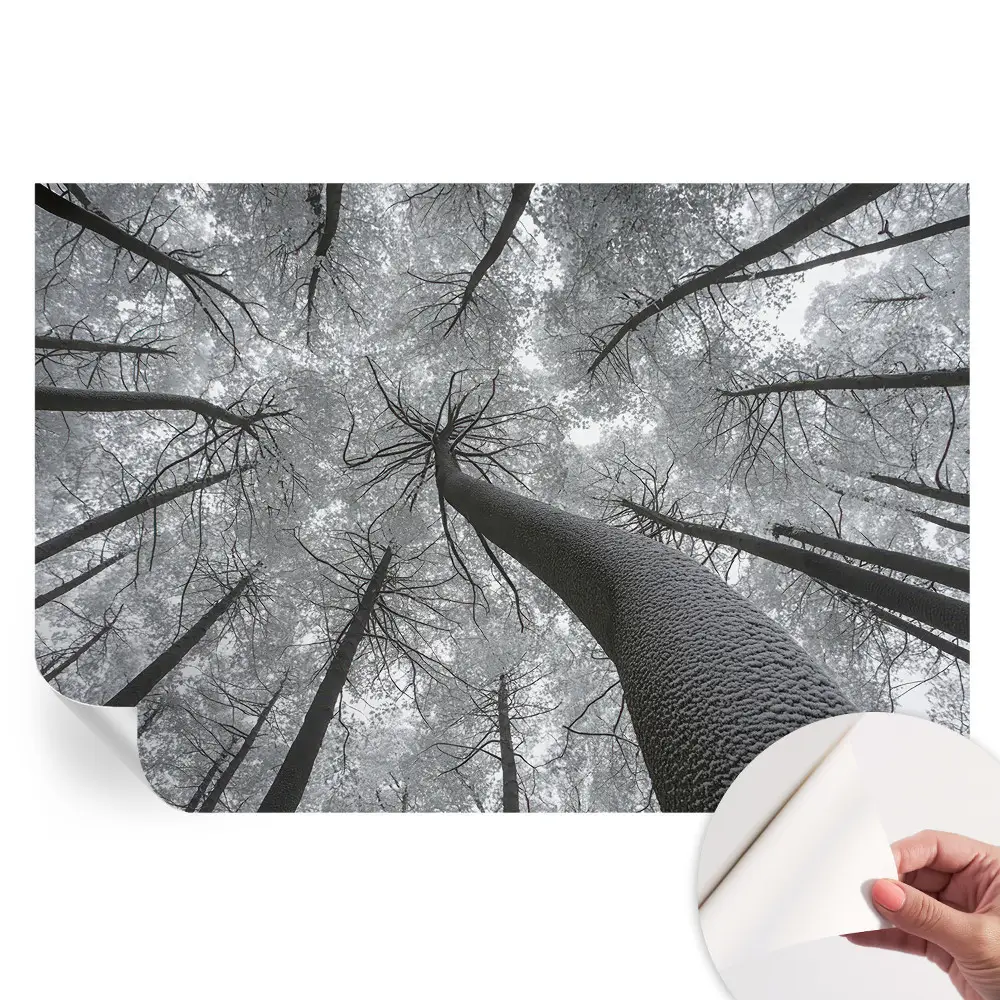 Samolepicí tapeta Zimní krajina do obývacího pokoje