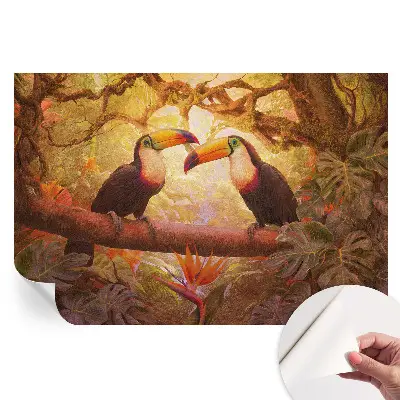 Moderní fototapeta do obývacího pokoje Barevní tukani