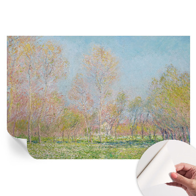 Samolepicí fototapeta Jarní park