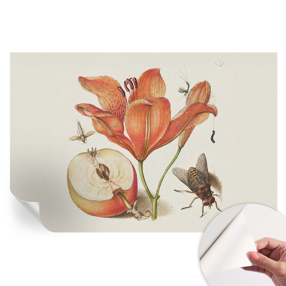 Moderní fototapeta do obývacího pokoje Botanická ilustrace