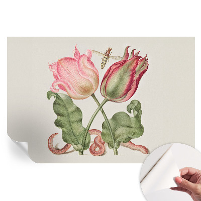 Samolepicí fotografická tapeta Tulipánová krása