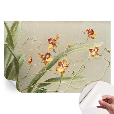 Samolepicí tapeta do obývacího pokoje Klasické orchideje